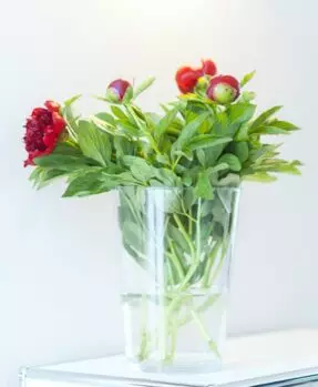 schirmers. agentur Detail Blumen